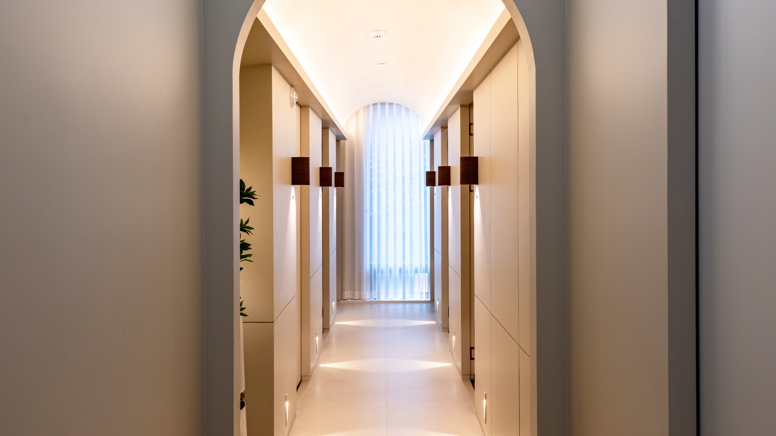 교대다이어트약